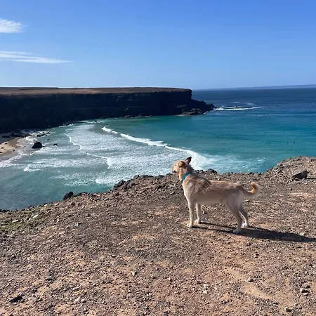 Apartment Casa Frida Cotillo