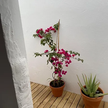 Апартаменты Casa Frida