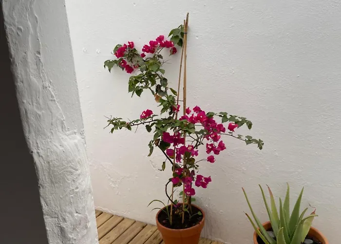 דירה Casa Frida
