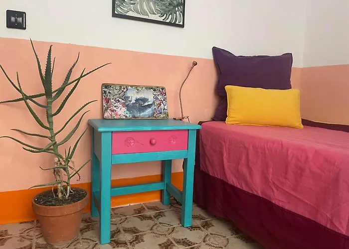 Casa Frida Cotillo